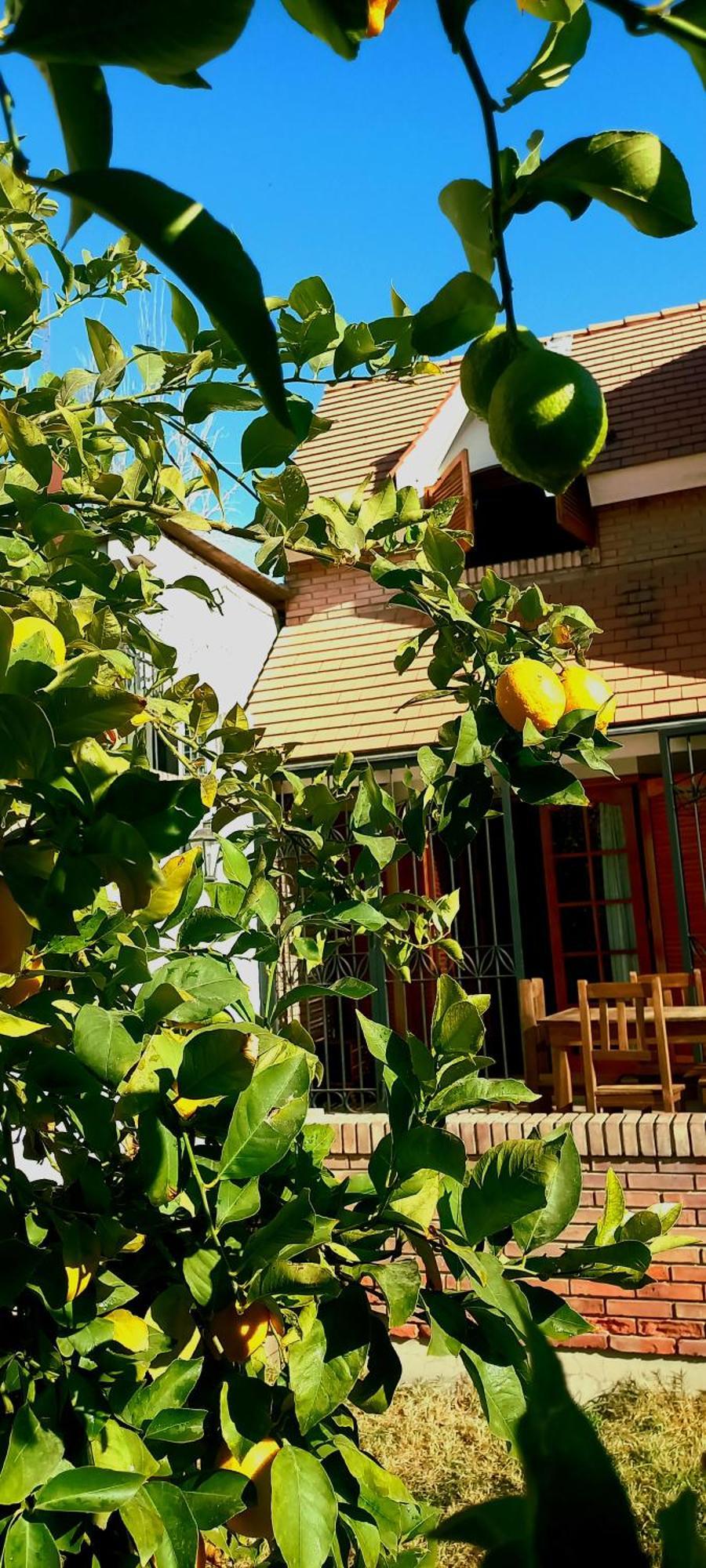 مبيت وإفطار ميندوزا Casa Bravo المظهر الخارجي الصورة